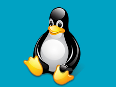 Linux如何查看Nginx、PHP、MySQL版本的方法